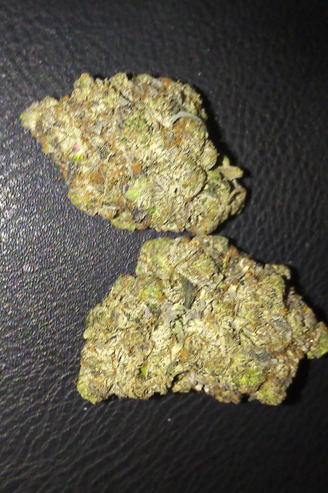 Atomic Marijuana Strain AAAA+ Premium